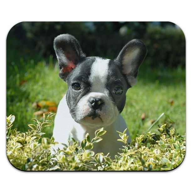 Black White French Bulldog Pet Feeding Mat Frenchie